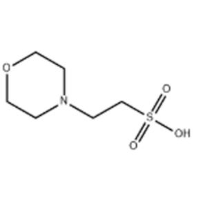Fatty acid methyl ester sulfonate(MES)